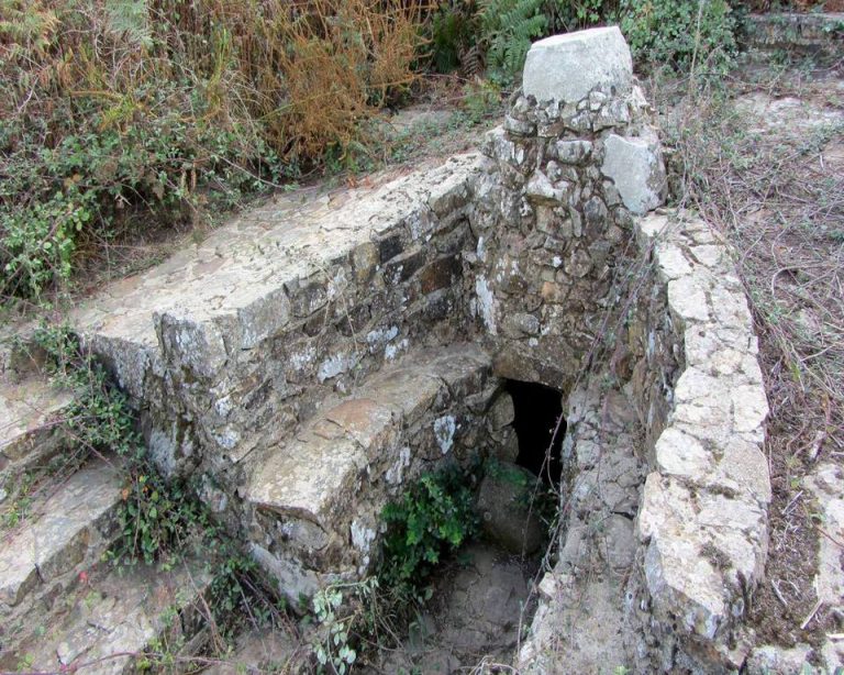 Fonte sacra e Mitza Salamu Mediateca di