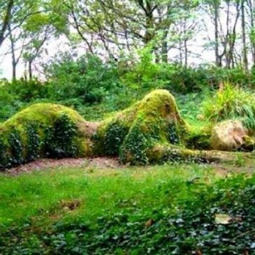 Equinozio di Primavera, la terra si rinnova.