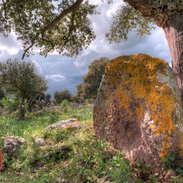 La stele di Nurnet – Sos Settiles, Oniferi