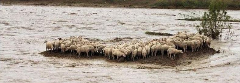 Dalla COSTANTE RESISTENZIALE alla RESILIENZA