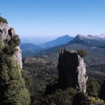 LA RISPOSTA DEL CORPO FORESTALE ALLA LETTERA DI NURNET