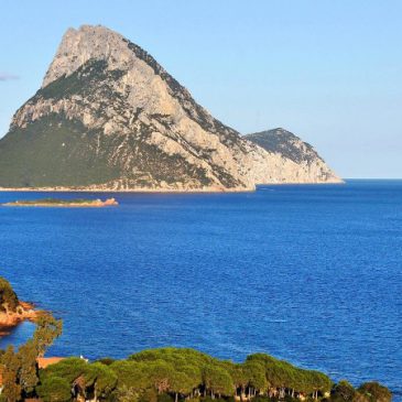 Olbia nella leggenda