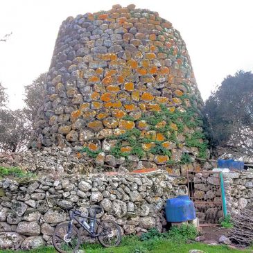 I NURAGHI PORCILAIE, ricovero e rifugio di animali