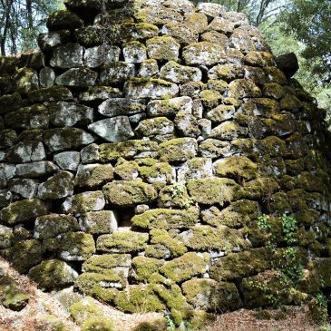 Gli Iliensi a Burgos