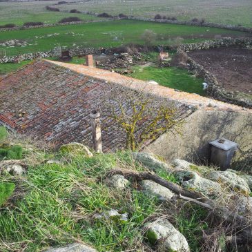 Il nuraghe in azienda