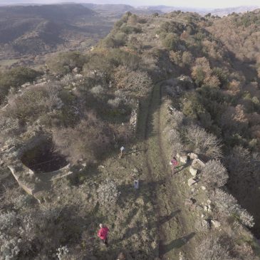 IL COMPLESSO DI MONTE SANT’ANTONIO, SILIGO