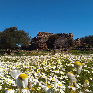 Il Nuraghe Arrubiu si racconta