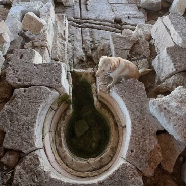 Procedimenti di riconoscimento, Linee guida UNESCO e Convenzione di Faro