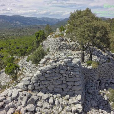 Coa ‘e Serra, un nuraghe nel bosco