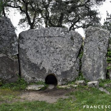 La sacralità delle tombe di giganti – TdG “Pascaredda” a Calangianus