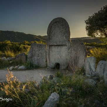 La fonte della vita