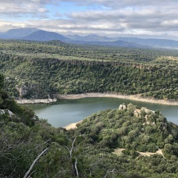 LE FORESTE DEI NURAGICI – Carbon credits per l’integrazione dell’economia dell’interno della Sardegna, ma non solo.