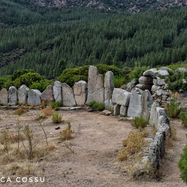 La tomba di giganti di Osono – TRIEI
