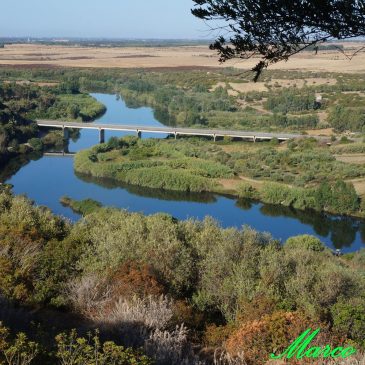 Nuraghi Santa Barbara e Ruinas – Villanova Truschedu
