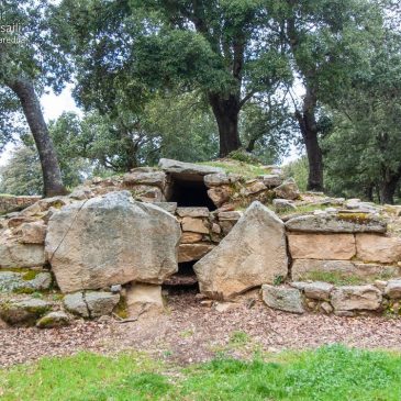 Tempio e tomba di giganti di Carcaredda e tomba di giganti di Porcu Abba – VILLAGRANDE STRISAILI