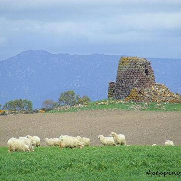 Nuraghe Burghidu ad Ozieri e Nuraghe San Pietro di Sorres a Borutta
