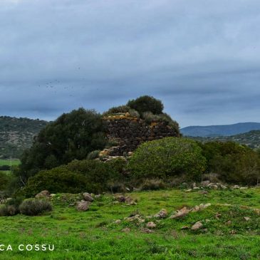 Nuraghi Benas, Pidighi e Muru Accas – Solarussa