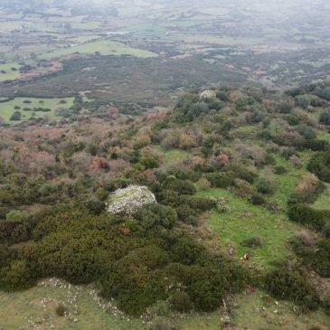 Nuraghi Crastu I e II e Nuraghe Sant’Anastasia – SODDI’