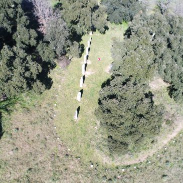 Nuraghe Lò, Menhirs di Biru ‘e Concas, Nuraghe Talei – Sorgono