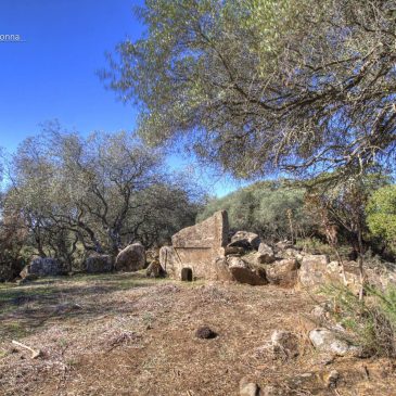 Nuraghe Oschina e Tombe di giganti di Goronna – PAULILATINO