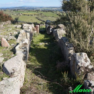 Nuraghe Accoro Nuedda e tomba di giganti Paule Lutturru – Samugheo