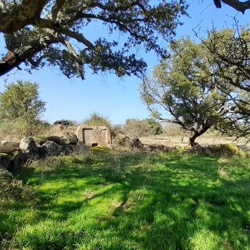 Nuraghe Ponte a Dualchi e Tomba di giganti Sa Perda ‘e s’Altare – BIRORI