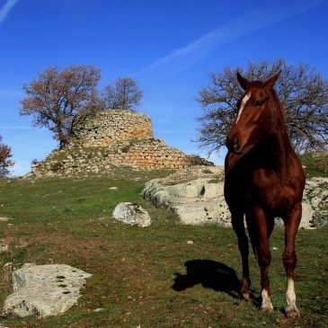 Fonni e il nuraghe Dronnoro