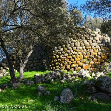 Il nuraghe Aspru, a Benetutti