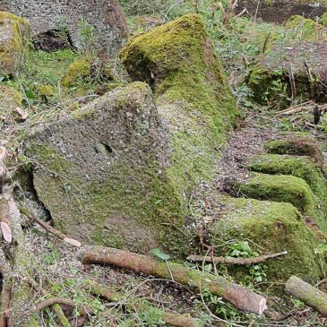 Il concio “a dentelli” nelle tombe di giganti