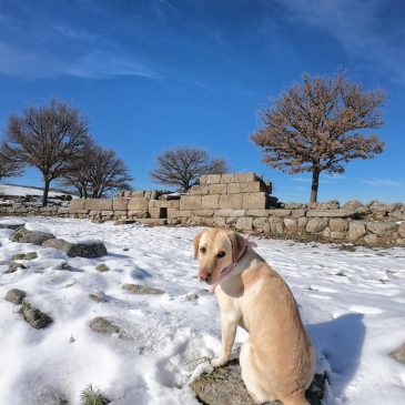 I monumenti nuragici negli scatti di Bibi Pinna