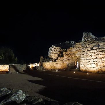 Taramelli e il Palmavera