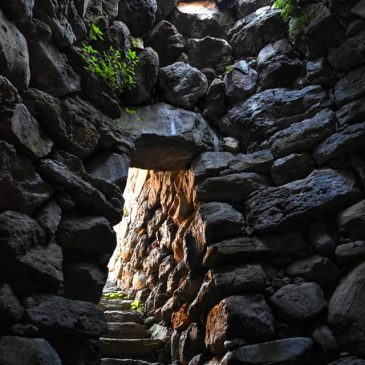 Il paese delle meraviglie